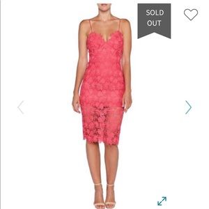 Tayla Lace Cocktail Dress new w tags
